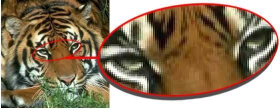 Bitmap Vs Vector 04