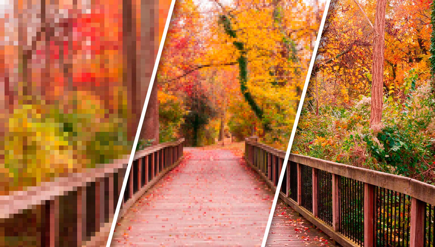 ¿Cómo saber si tu foto digital tiene suficiente calidad para la impresión? - Blog Brildor