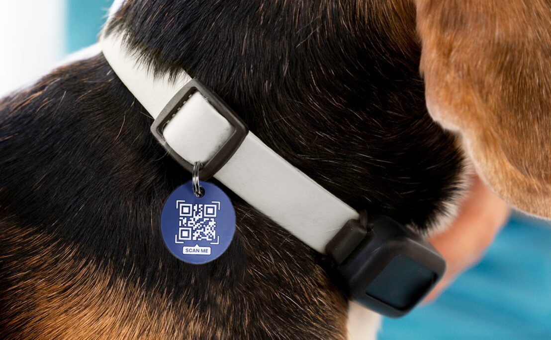 🐶 Créez des médailles QR pour animaux de compagnie avec votre machine laser 12 Chapa Mascotas Qr Blog Brildor