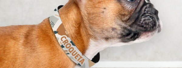 Negocio-Personalización -Productos-Para-Mascotas
