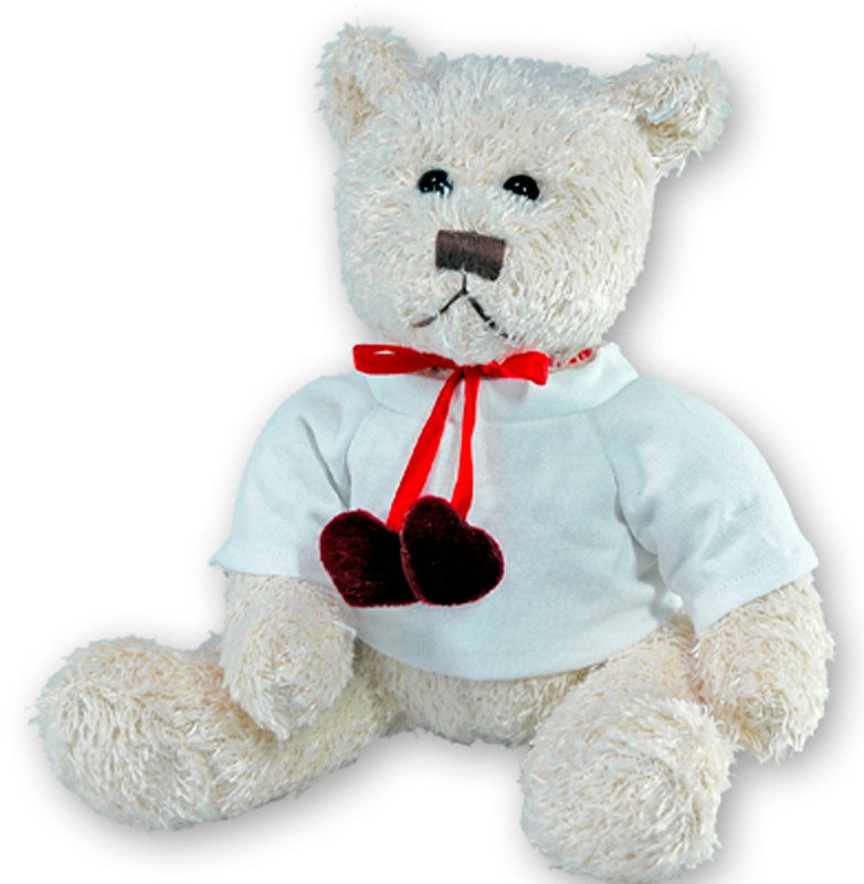 osos teddy