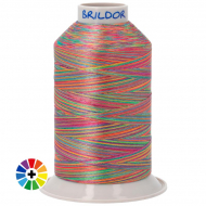 Hilos de bordar PB40 Multicolor Poliéster 100%