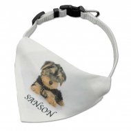 Collar para mascotas con pañuelo personalizado