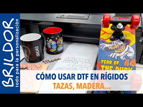 Taza cónica en colores