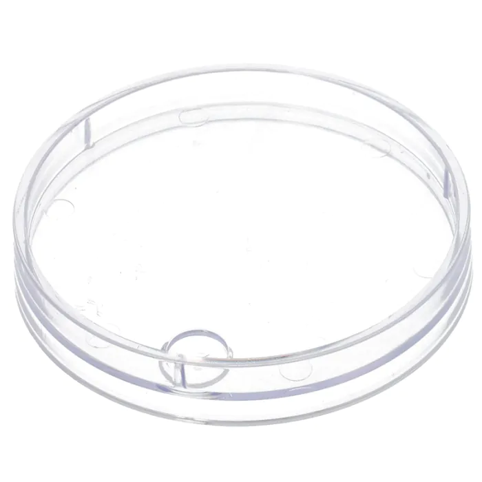 Bola de nieve corazones rojos con foto - Tapa