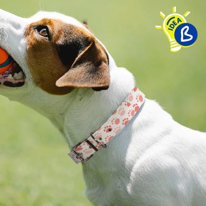 Collares para mascotas de polipiel sublimable BRILDOR ®