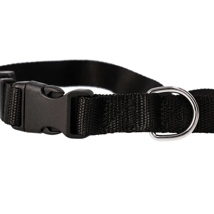 Collares para mascotas con pañuelo - Detalle correa y anilla