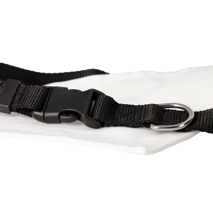 Collares para mascotas con pañuelo - Correa y anilla