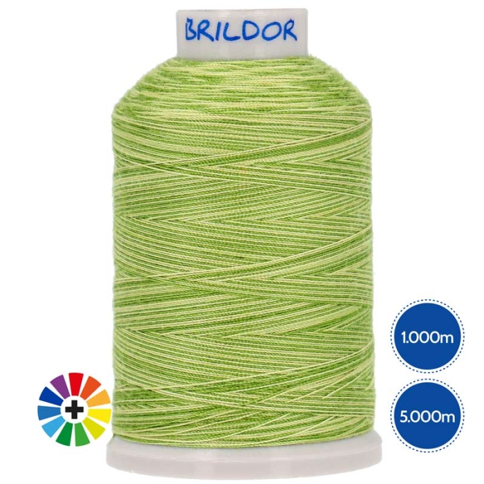 Fils à coudre et à broder PS80/2 Multicolore Polyester 100% Fils à coudre et à broder PS80/2 Multicolore Polyester 100%