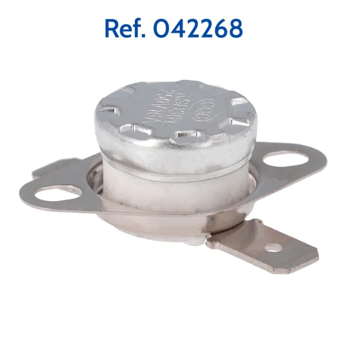 Spare Parts for Brildor Pneumatic Press 40x60cm - Thermostat