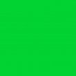 Encre de sérigraphie textile à base d'eau Sumiprint Vert Fluo - Pot de 1kg