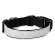 Dog Collar - Adjustable - Small