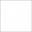 101 White