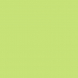 Sublimation Container - Ceramic - Coloured Inside - Light Green