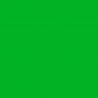 Filamento PLA Soorim® Verde Medio - Rollo de 750g