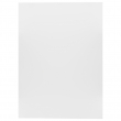 Film polyester pour typons - Imprimantes jet d'encre - Lot de 10 feuilles A3