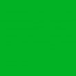 Filamento PLA Soorim® Verde Medio - Rollo de 750g