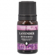 Fragrance for Air Fresheners - 10ml Bottle - Lavender
