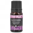 Fragancia para ambientadores - Bote de 10ml - Lavanda