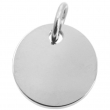 Plata Ø10mm
