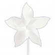 Sublimable Windmill