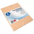 Papier protecteur siliconé pour presse - Boîte de 250 feuilles de 40x60cm