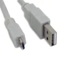 Câble USB - Micro USB - Détail connecteurs type B mâle micro USB (gauche) et type A mâle (droite)