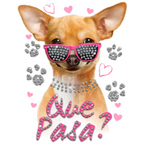 Diseño Multitransfer Chiuahua Que pasa? 