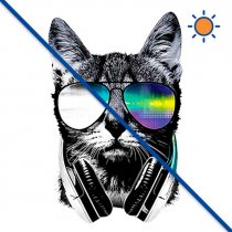 Diseño transfer Solar Gato DJ