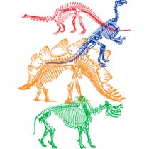 Diseño Transfer esqueletos dinosaurios - Sin fondo
