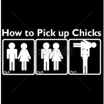 Diseño Transfer How to Pick up Chicks pack 4 uds