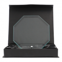Placa trofeo de cristal forma octogonal de sobremesa
