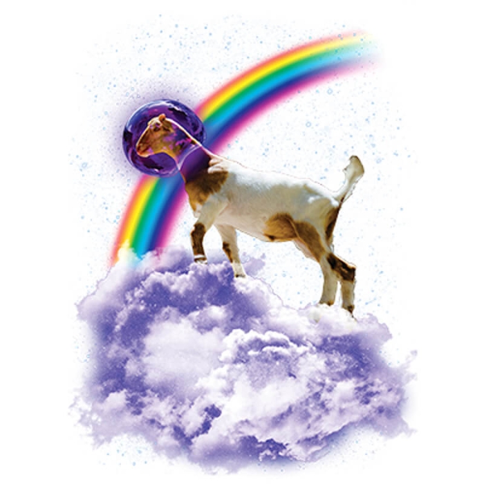 Diseño Transfer Rainbow Goat Diseño Transfer Rainbow Goat