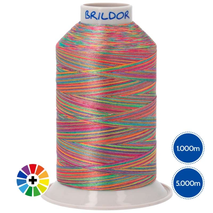 PB40 Multicolour Embroidery Threads 100% Polyester PB40 Multicolour Embroidery Threads 100% Polyester