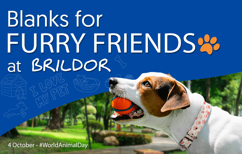 Blanks for furry friends at Brildor. 4 October - #WorldAnimalDay